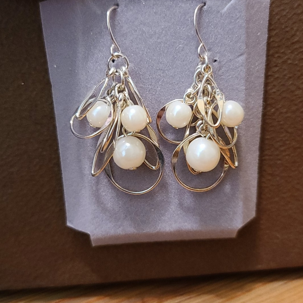NWOT Earrings